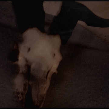 STRANGULATION - "Strangulation" CD